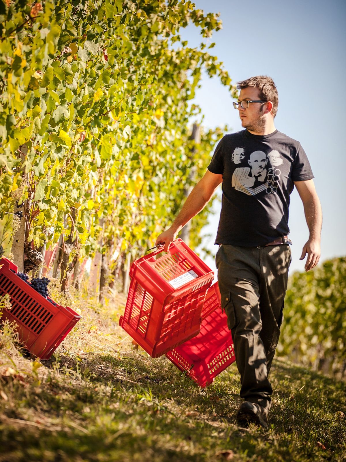 Walking Against the Wind