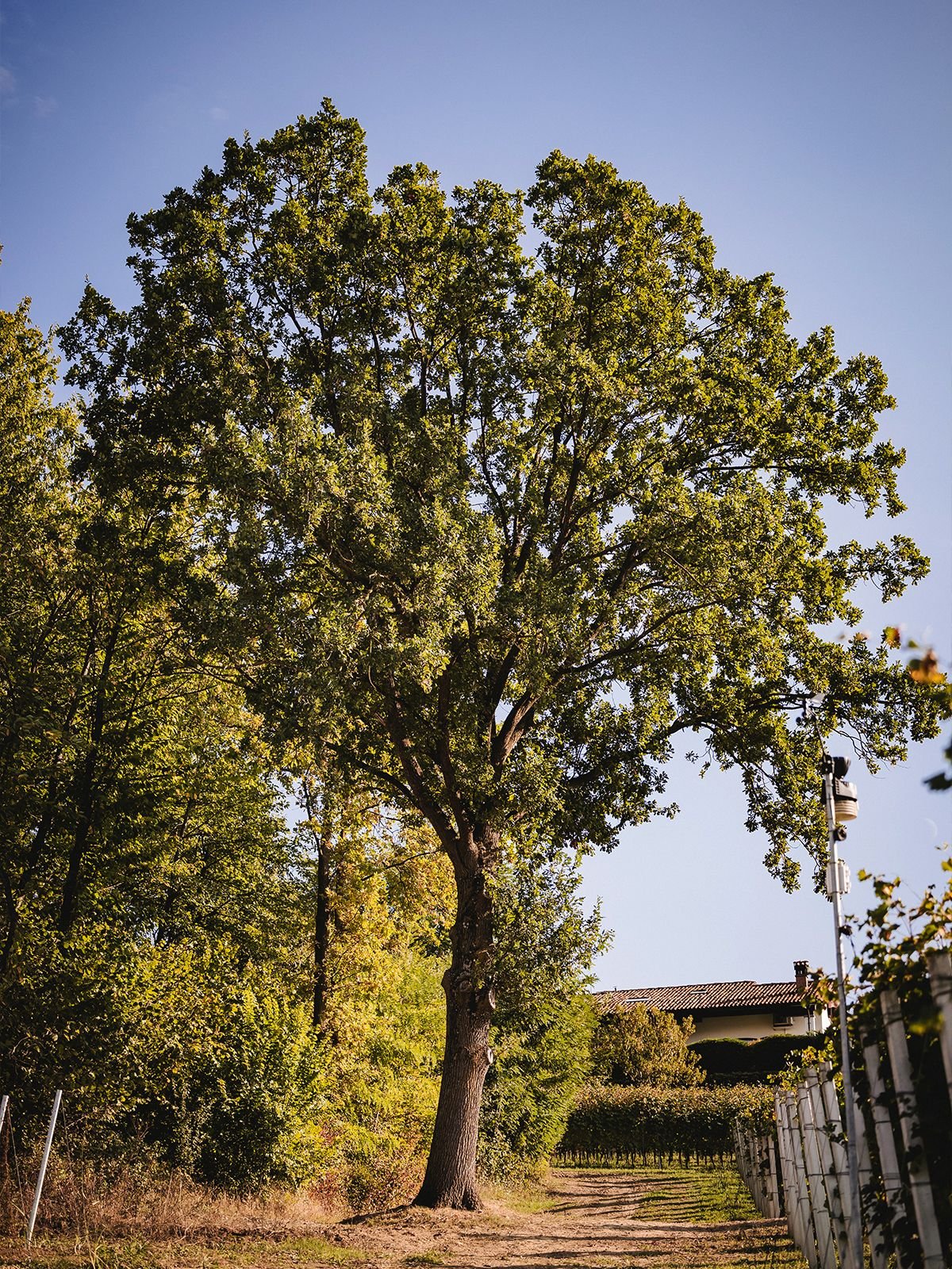 Small habits, real impact