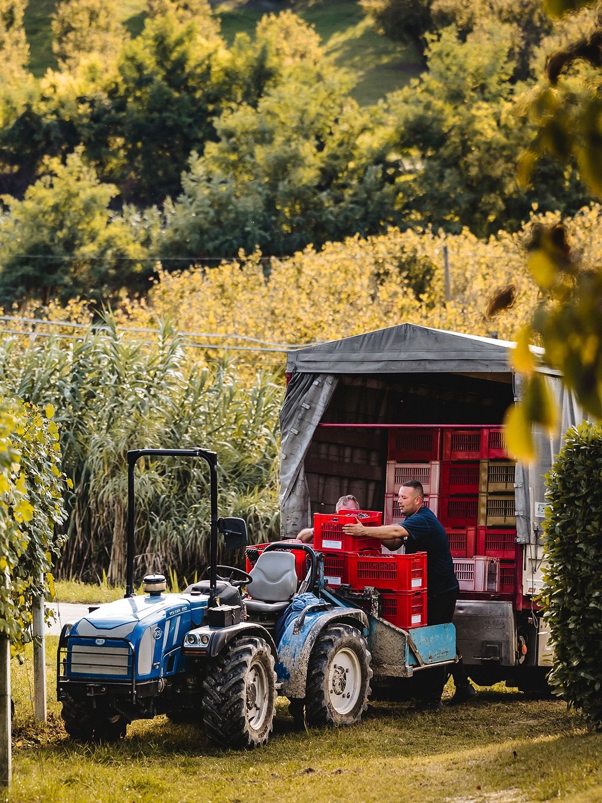 Roddi, our starting point