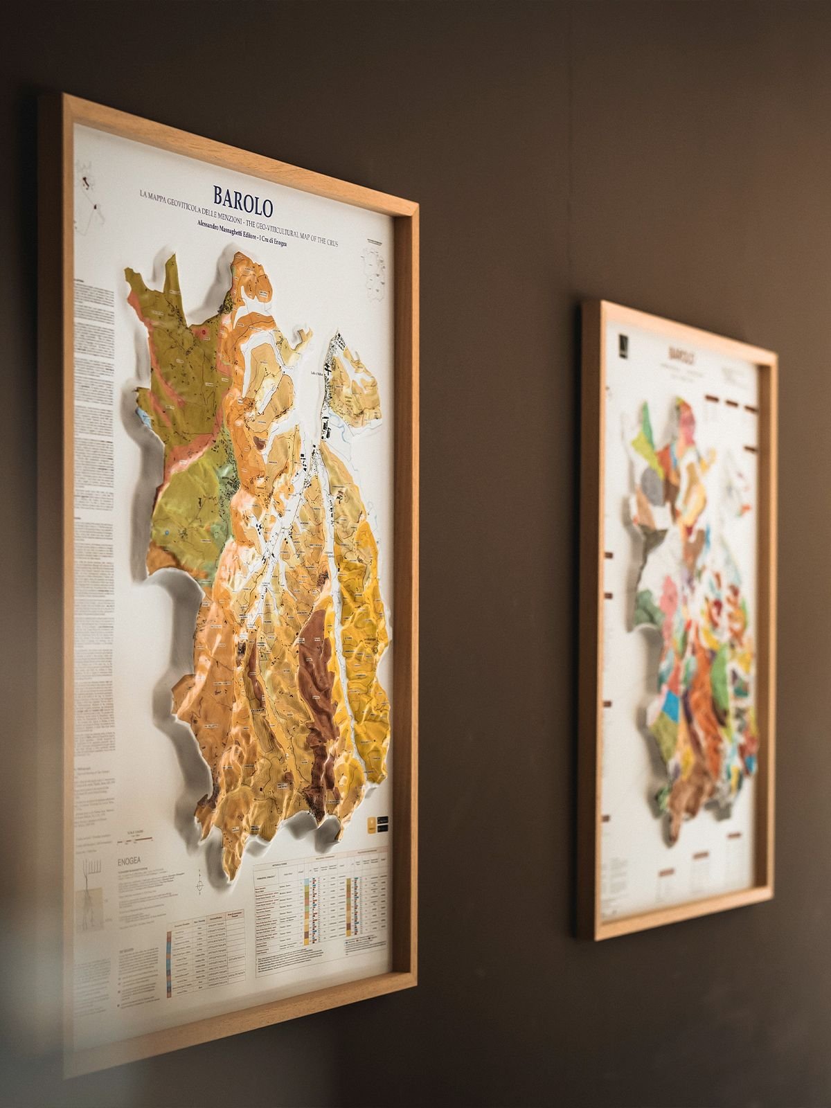 The dialogue between grape variety and territory