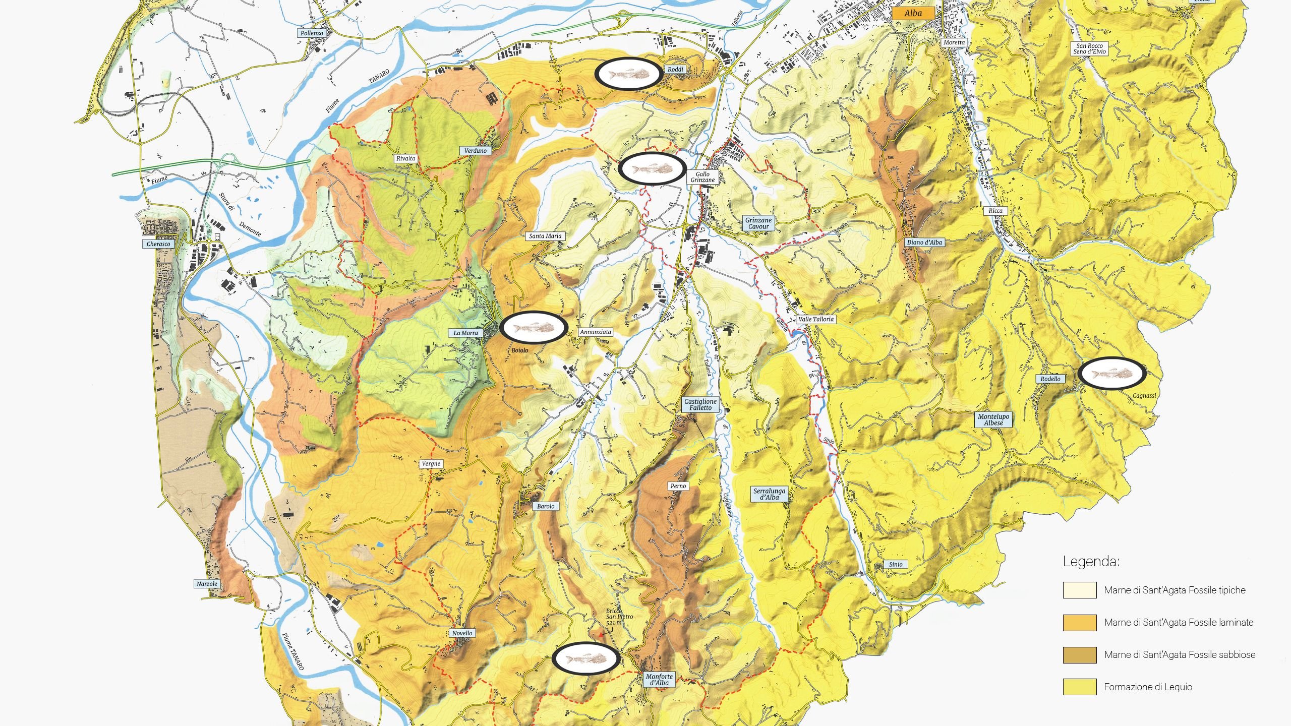 view : OM : Territory - Visual
