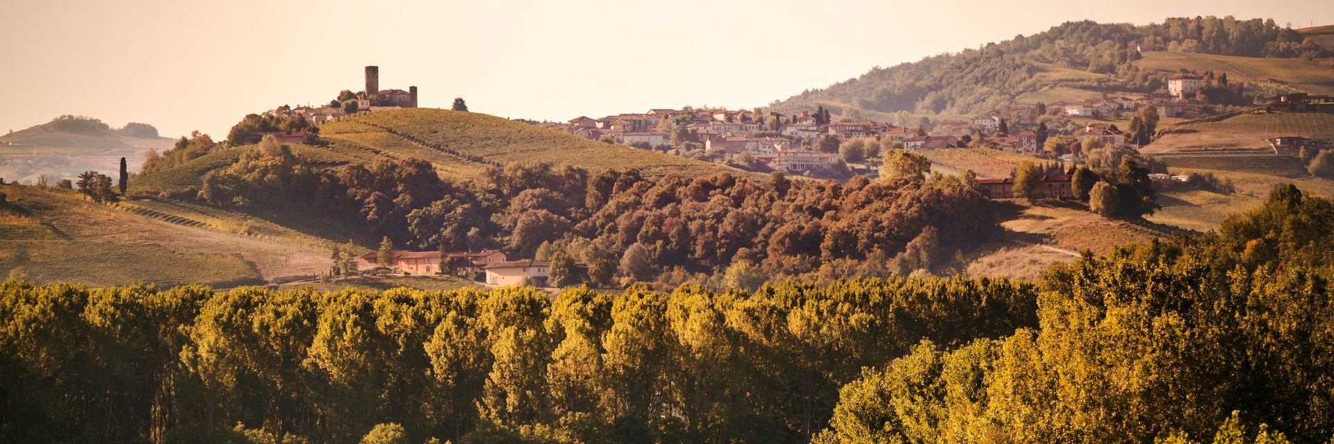 view : OM : Territory - Landing